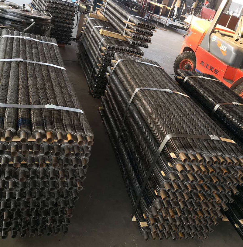 ���l����Ƭ��